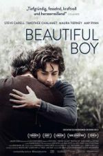 Watch Beautiful Boy Gomovies
