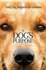 Watch A Dog's Purpose Gomovies