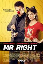 Watch Mr. Right Gomovies