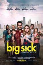 Watch The Big Sick Gomovies