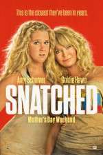 Watch Snatched Gomovies