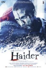 Watch Haider Gomovies