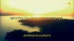 Watch Mysteries of the Rainforest Gomovies