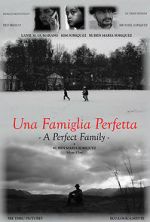 Watch A Perfect Family Gomovies