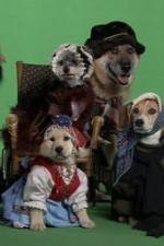 Watch Heidi 4 Paws Gomovies