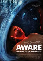 Watch Aware: Glimpses of Consciousness Gomovies