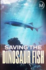 Watch Saving the Dinosaur Fish Gomovies