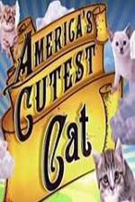 Watch America's Cutest Cat Gomovies
