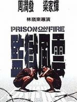 Watch Prison on Fire Gomovies