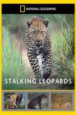 Watch National Geographic: Stalking Leopards Gomovies