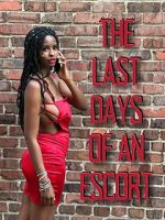 Watch The Last Days of an Escort Gomovies