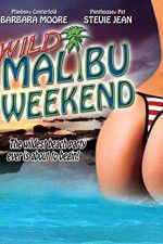 Watch Wild Malibu Weekend Gomovies