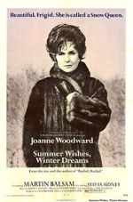 Watch Summer Wishes, Winter Dreams Gomovies