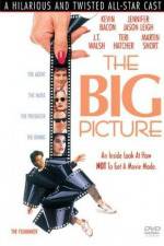 Watch The Big Picture Gomovies