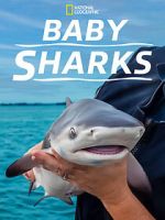 Watch Baby Sharks Gomovies