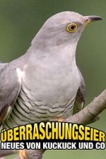 Watch �berraschungseier: Neues von Kuckuck und Co. Gomovies
