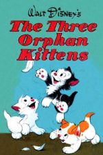 Watch Three Orphan Kittens Gomovies