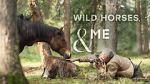 Watch Wild Horses, the Rockies and Me (TV Special 2025) Gomovies