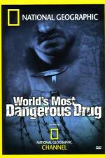Watch Worlds Most Dangerous Drug Gomovies
