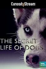 Watch Secret Life of Dogs Gomovies
