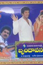 Watch Brundavanam Gomovies