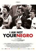 Watch I Am Not Your Negro Gomovies