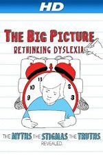 Watch The Big Picture Rethinking Dyslexia Gomovies