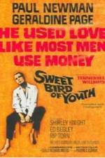 Watch Sweet Bird of Youth Gomovies