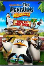 Watch Penguins of Madagascar New to the Zoo Gomovies
