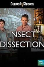 Watch Insect Dissection: How Insects Work Gomovies
