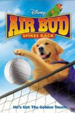 Watch Air Bud Spikes Back Gomovies