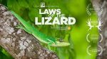 Watch Laws of the Lizard Gomovies