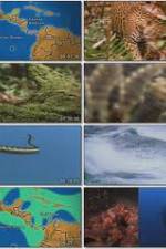 Watch National Geographic:  Worlds Deadliest Animals - North America Gomovies