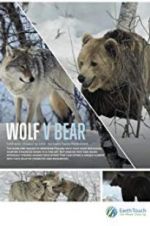 Watch Wolf vs Bear Gomovies