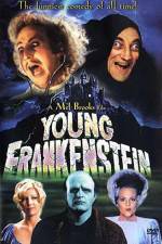 Watch Young Frankenstein Gomovies