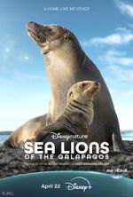 Watch Sea Lions of the Galapagos (TV Special 2025) Gomovies