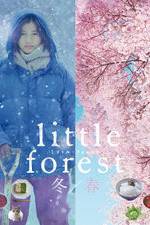 Watch Little Forest: Winter/Spring Gomovies