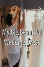 Watch My Big Beautiful Wedding Dress Gomovies