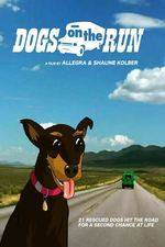 Watch Dogs on the Run Gomovies