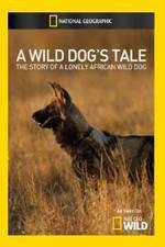 Watch A Wild Dogs Tale Gomovies