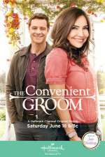 Watch The Convenient Groom Gomovies