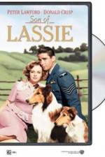 Watch Son of Lassie Gomovies