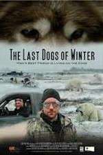 Watch The Last Dogs of Winter Gomovies