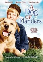 Watch A Dog of Flanders Gomovies