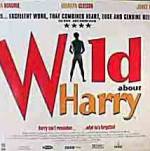 Watch Wild About Harry Gomovies