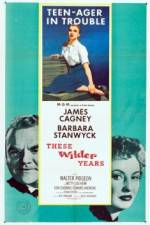 Watch These Wilder Years Gomovies