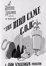 Watch The Bird Came C.O.D. (Short 1942) Gomovies
