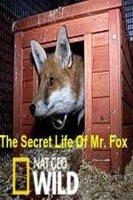 Watch The Secret Life of Mr. Fox Gomovies