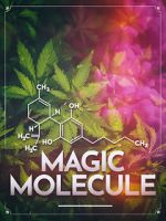 Watch Magic Molecule Gomovies