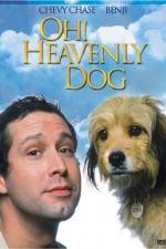 Watch Oh Heavenly Dog Gomovies